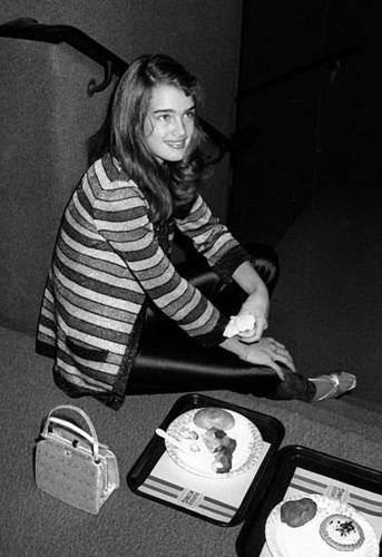 Brooke shields police - shields, ny