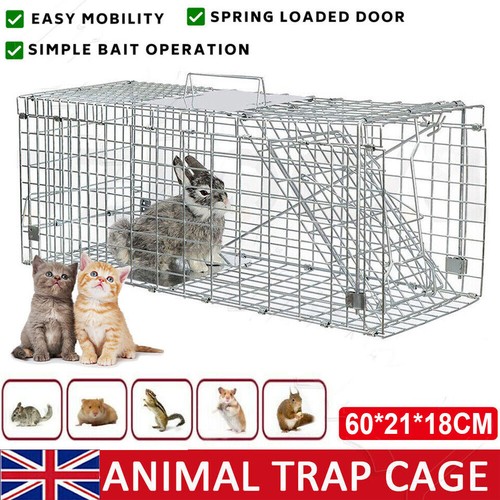 Large humane live - large, trap