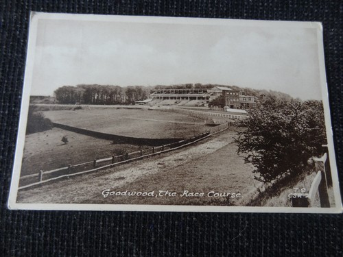 The race course goodwood - race,