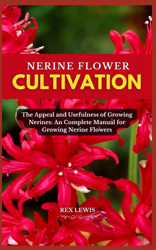 Nerine flower cultivation the - flower, cultivation: