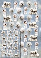 Bichon Frise Dog Gift Wrapping