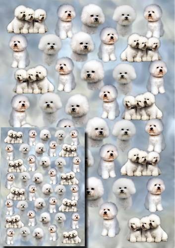 Bichon frise dog gift wrapping - frise,