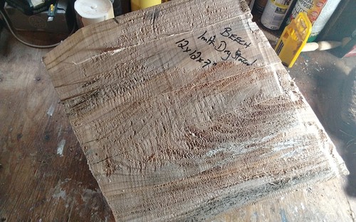 Large beech bowl blank - large, wood