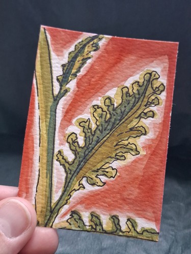 Original aceo watercolour - original,