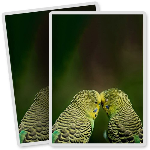 Vinyl stickers 7x10cm - vinyl,