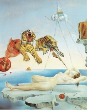 Salvador Dali - Dream caused