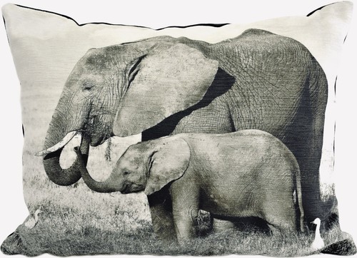 Evans lichfield elephant - evans,
