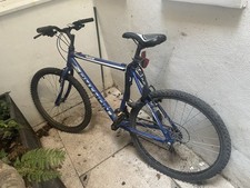 Python Rock FD 260 Men's