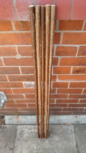 Hazel walking stick - walking,