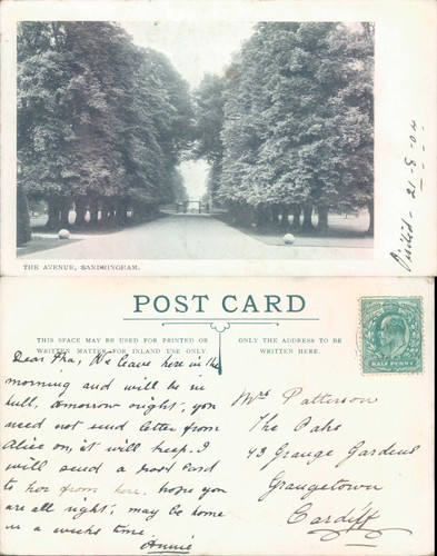 The avenue sandringham norfolk - the,
