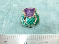 Girl Guides Womens Institute Badge Scotland Thistle Senior Leader association