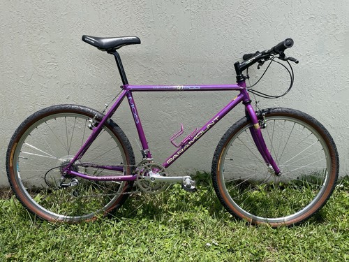 1992 schwinn paramount series - 1992,