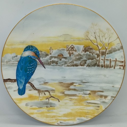 King fisher winter - fisher,