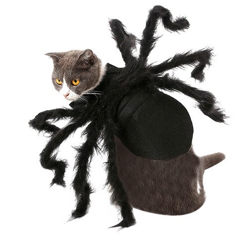 Plush spider halloween pet - plush,