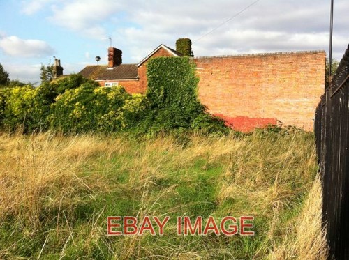 Photo coventry overgrown - , plot