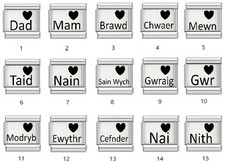 Welsh Italian Charms Bracelet Jewellery Fits Charm Bracelets 9mm Wales Family