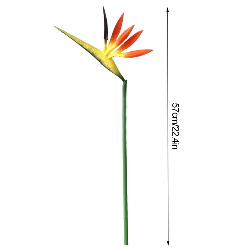 Artificial bird paradise - artificial,
