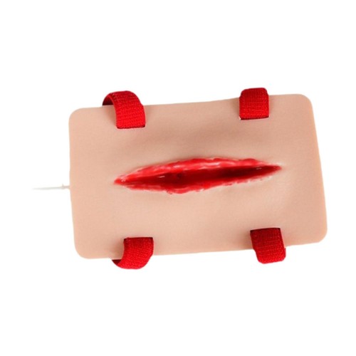 Trauma model first aid - model, first-aid