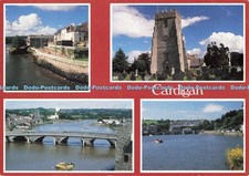 D257565 Cardigan River Teifi