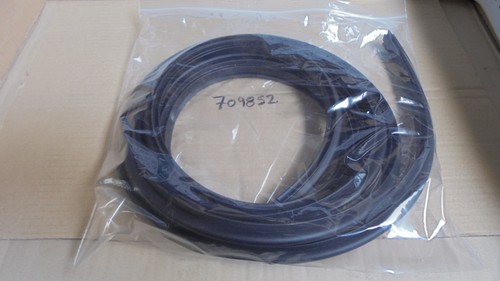Triumph dolomite door seal - dolomite,