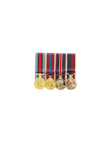 Court mounted miniature - court, medal