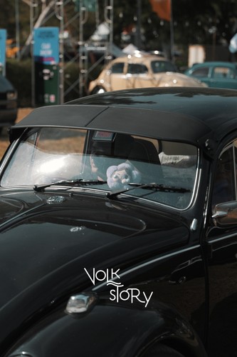 Beetle bug external vintage - bug,