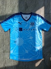 Yorkshire Cricket Vikings T20