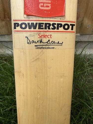 Gray nicolls powerspot cricket - nicolls,