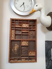 Collectible Display Unit