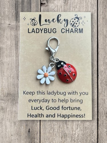 Lucky ladybug charm keyring - lucky,