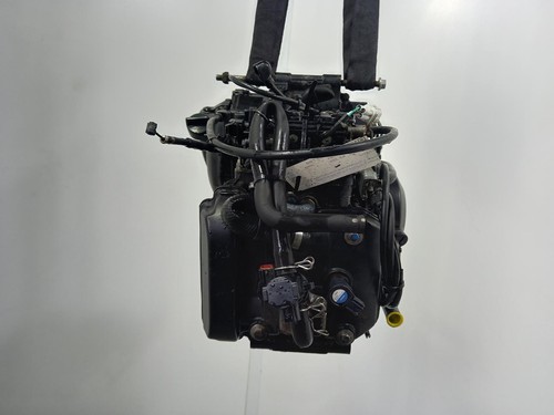 Kawasaki 250 engine 2009 - kawasaki,