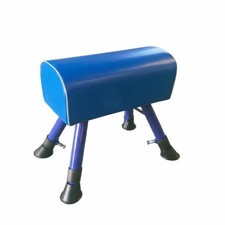 Children's Jump Ing Horse