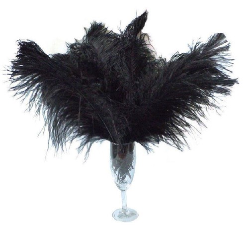 Pcs black ostrich - 10,