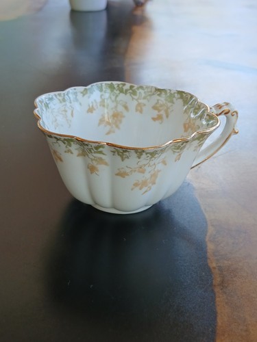 1890 wileman co - wileman, daisy