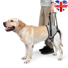 Dog Support Harness for Front