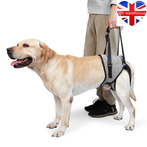Dog support harness for - for, front