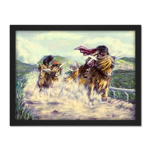Scottish highland cow race - highland,