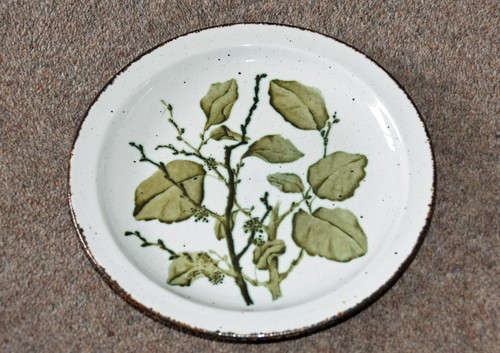 Midwinter green leaves - leaves, salad