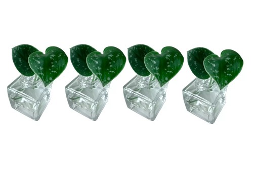Wedding mini vases - vases, party