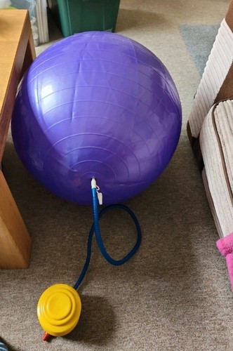 Exercise ball with - with, pump