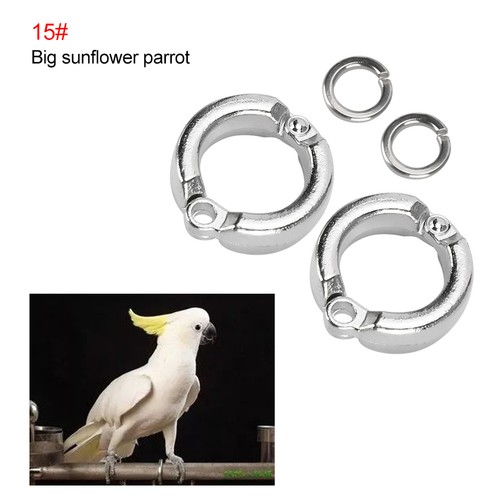 10pcs bird parrots leg - leg, ring