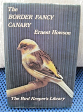 The Border Fancy Canary Ernest