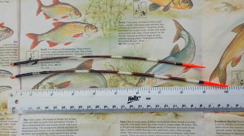 Two long slender - two,