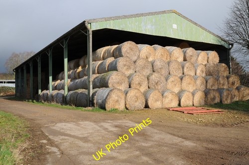 Photo 6x4 straw - straw, barn