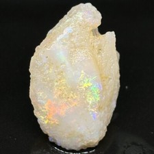 Big Color Burst Knobby