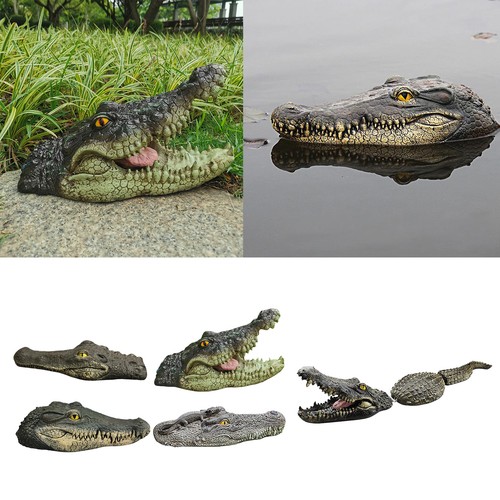 Giant alligator head - alligator, for
