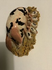 Basil Matthews Pig With