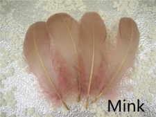 Loose Goose Feathers for