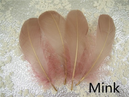Loose goose feathers for - loose,
