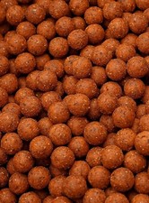5kg Shelf Life Boilies -